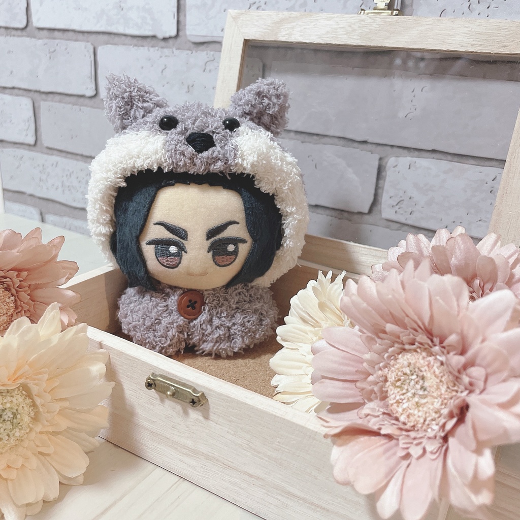 ✧童話シリーズ✧ポンチョ