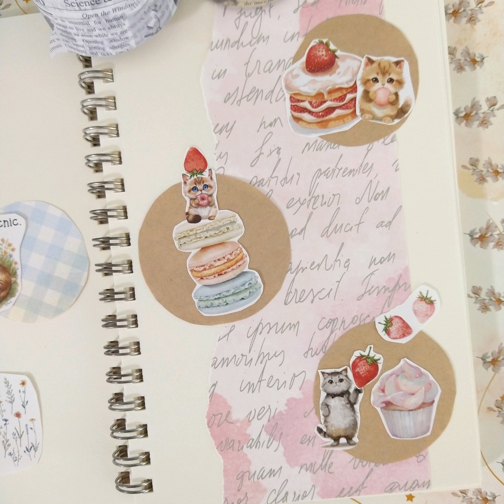 ねこの素材シート 4種まとめておトクセット【ペーパーアイテム素材PNG】