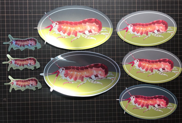 【訳あり】ヨコエビステッカーセット