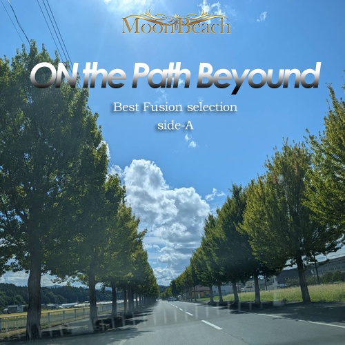 ON the Path Beyond — Best Fusion Selection side-A