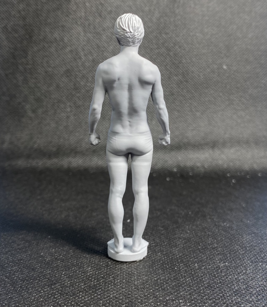 3Dスキャンデッサンフィギュア(全身Aタイプ)