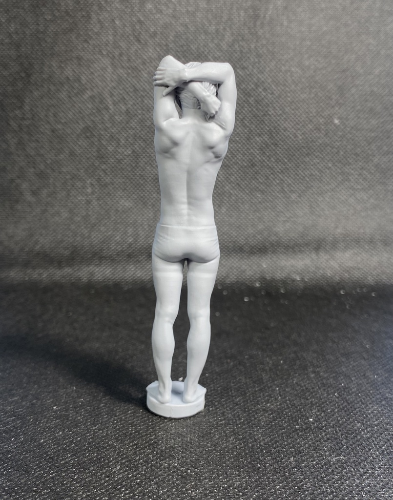 3Dスキャンデッサンフィギュア(全身Bタイプ)