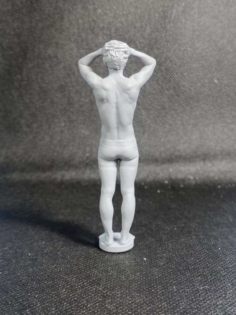 3Dスキャンデッサンフィギュア(全身Cタイプ)