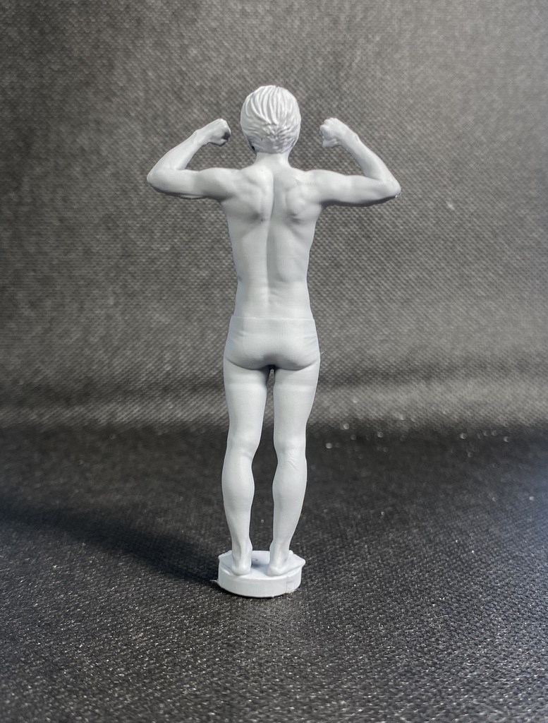 3Dスキャンデッサンフィギュア(全身Dタイプ)