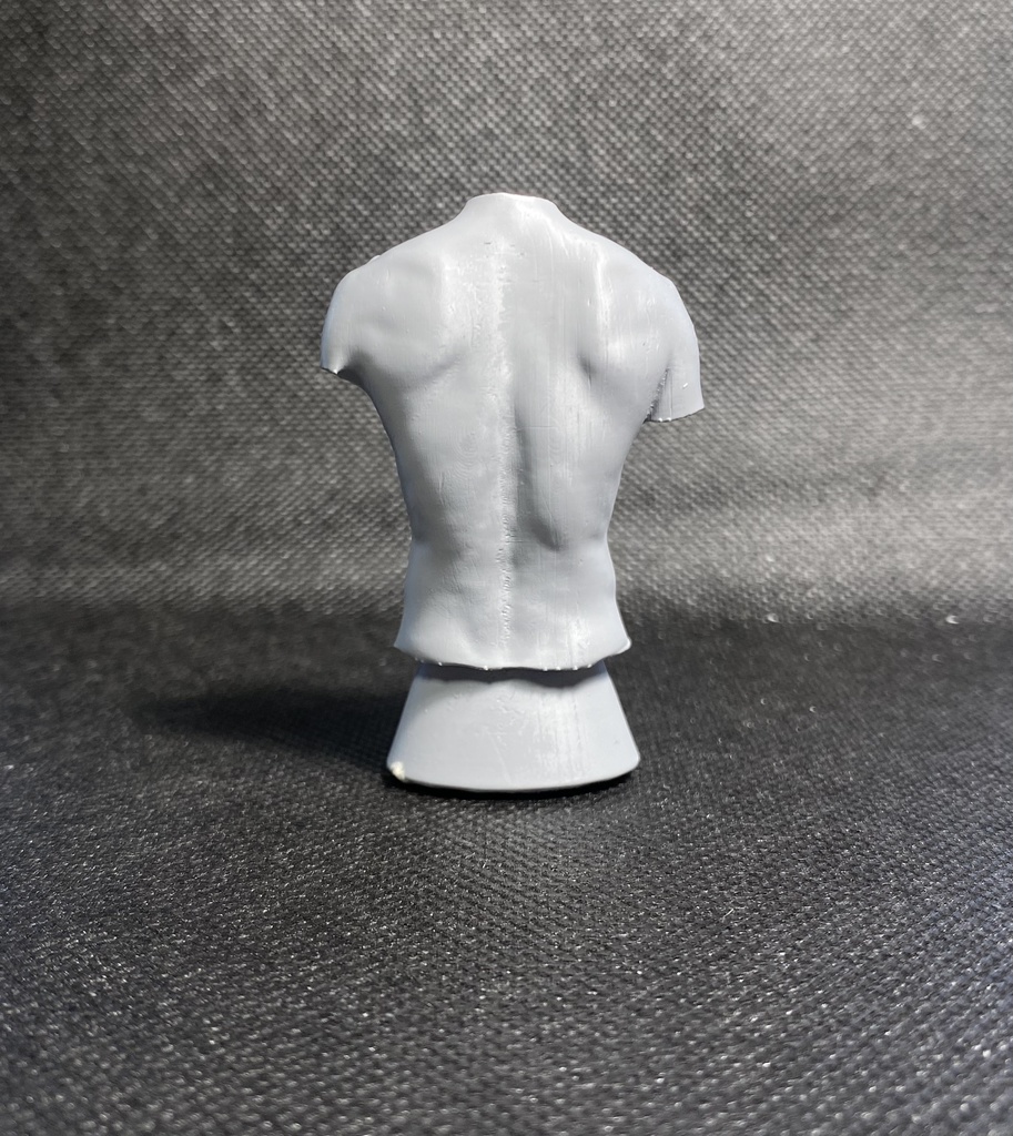 3Dスキャンデッサンフィギュア(上半身Aタイプ)