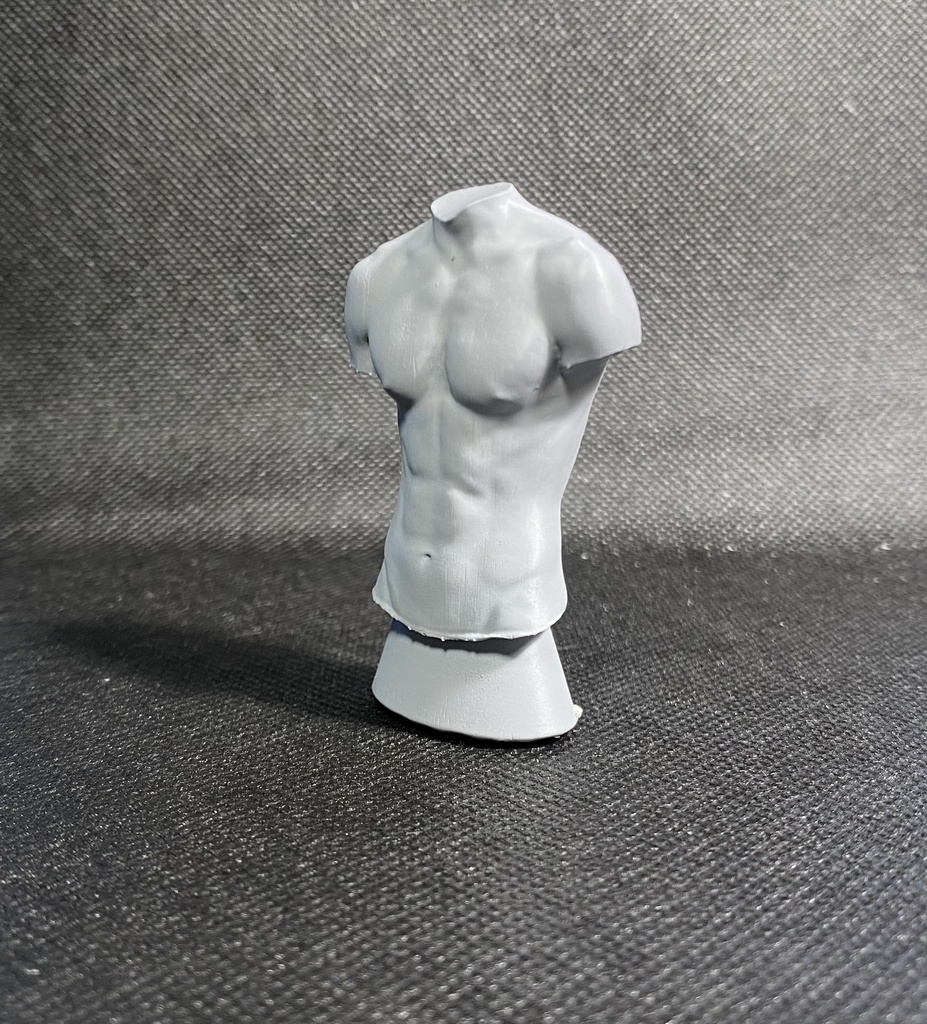 3Dスキャンデッサンフィギュア(上半身Aタイプ)