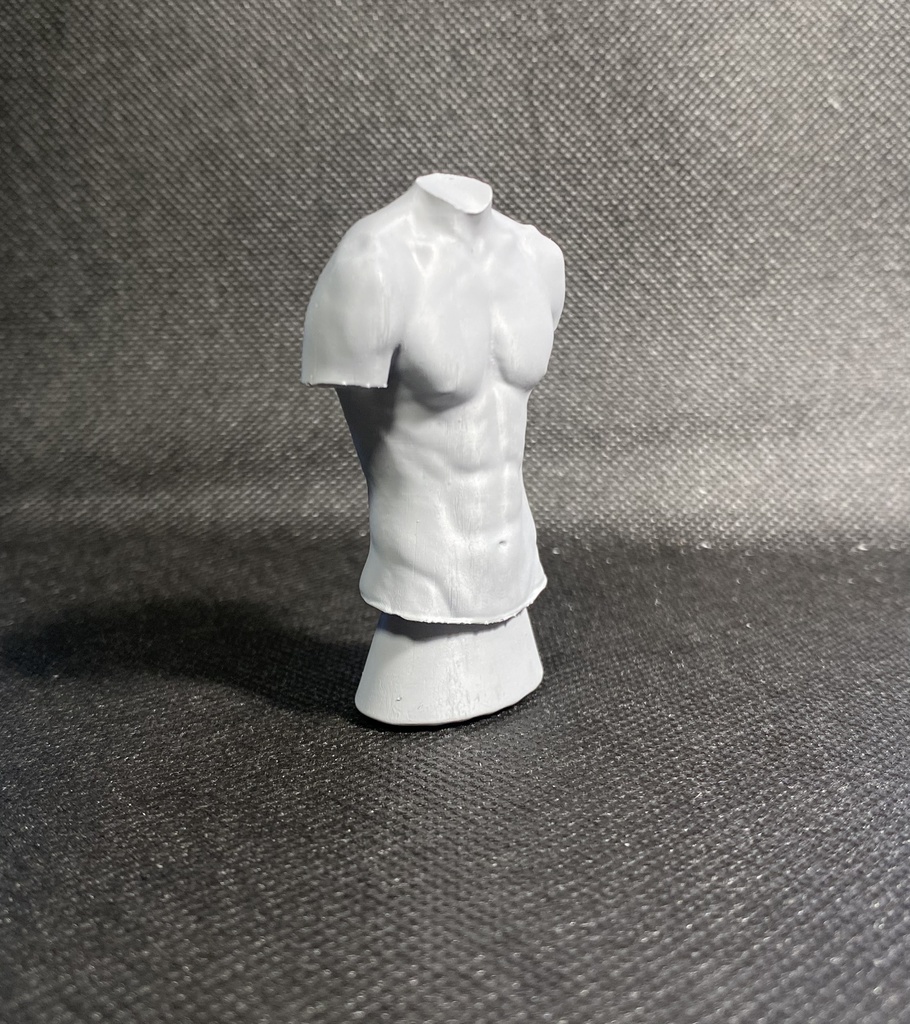 3Dスキャンデッサンフィギュア(上半身Aタイプ)