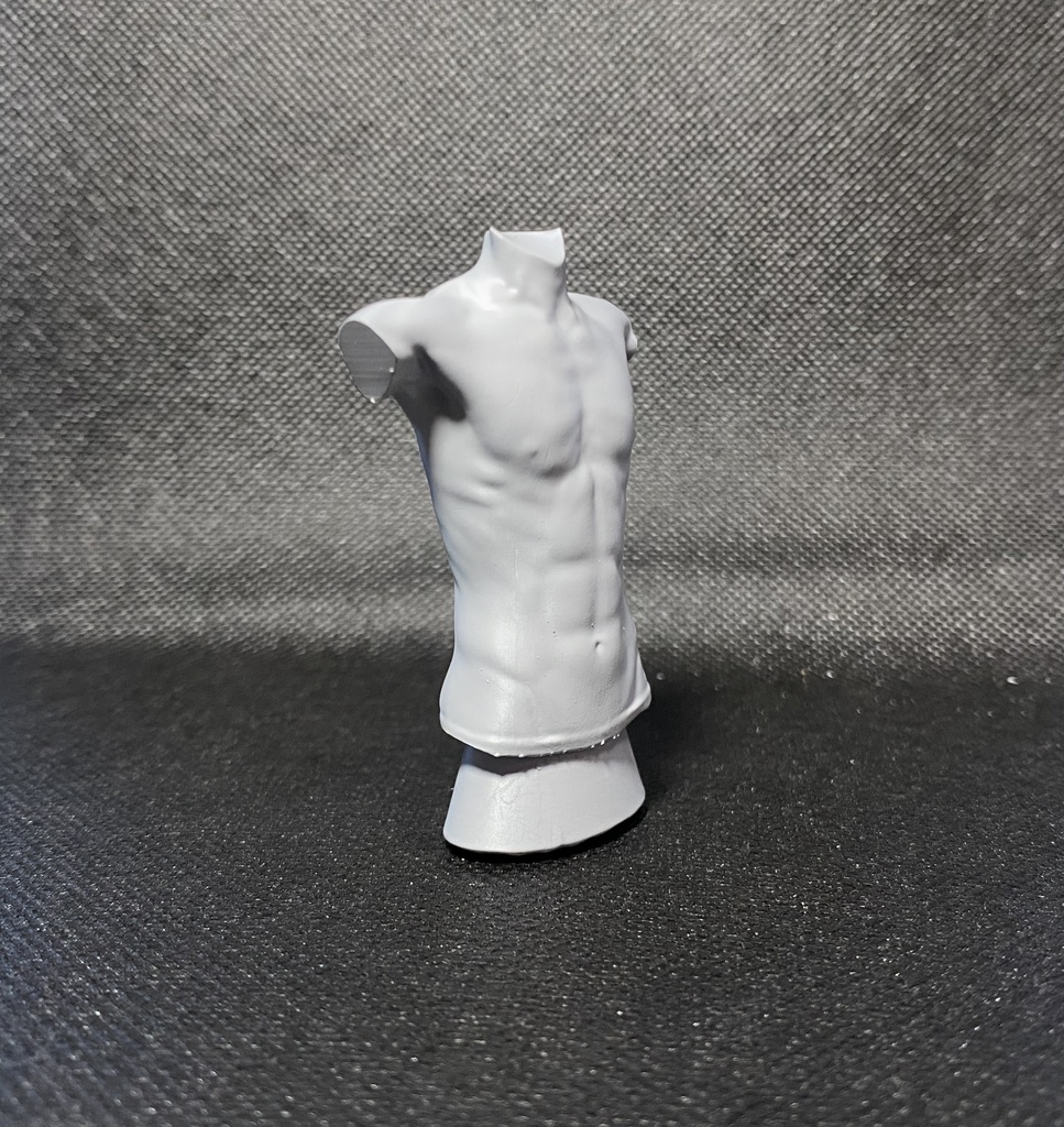 3Dスキャンデッサンフィギュア(上半身Bタイプ)