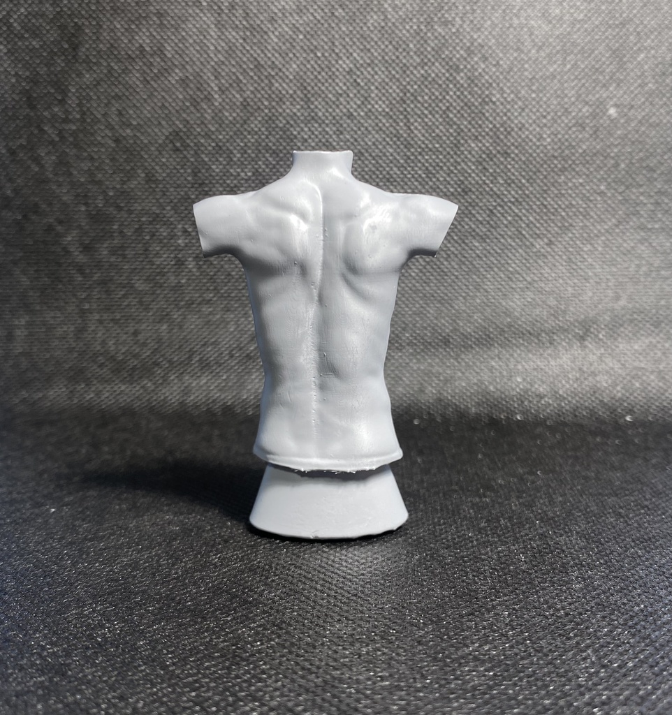 3Dスキャンデッサンフィギュア(上半身Bタイプ)