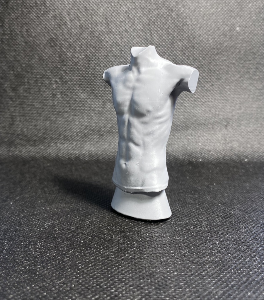 3Dスキャンデッサンフィギュア(上半身Bタイプ)