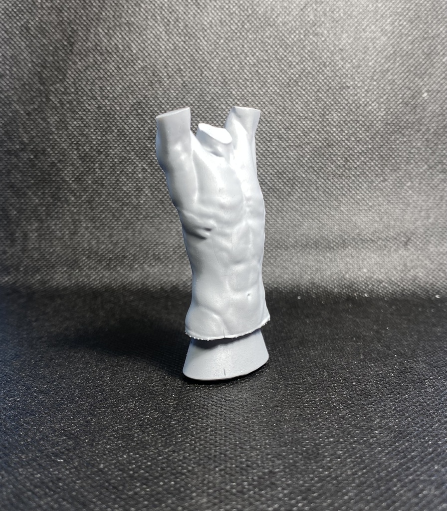 3Dスキャンデッサンフィギュア(上半身Cタイプ)