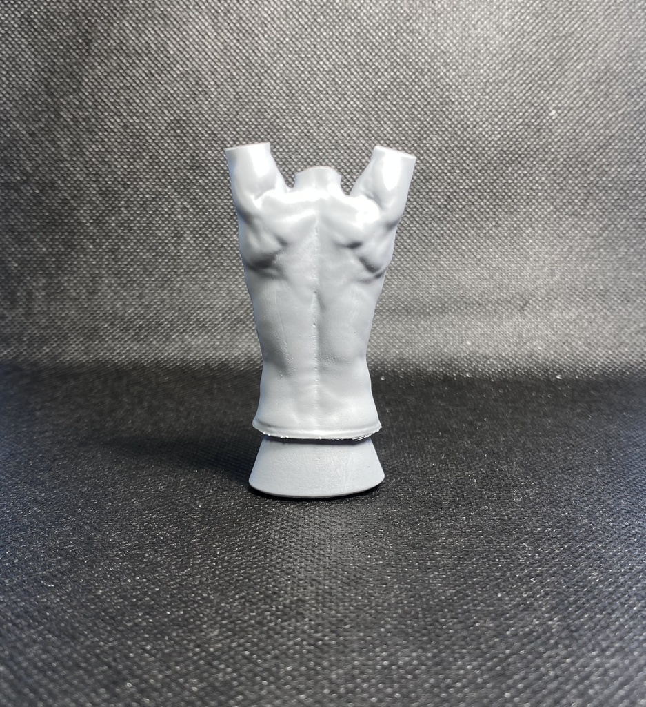 3Dスキャンデッサンフィギュア(上半身Cタイプ)