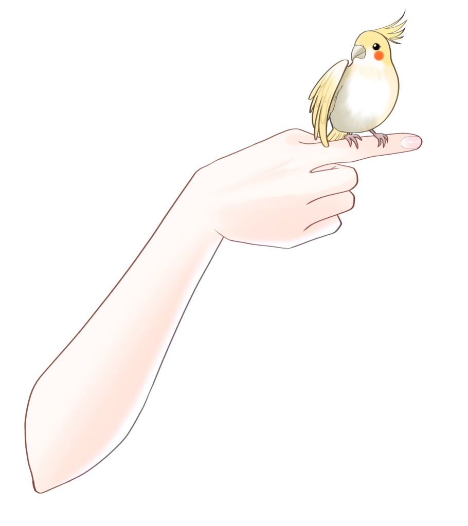 小鳥を手に乗せる素材🦜✨ VTuber素材/Vライバー素材/おはようVTuber/おはようVライバー/おはようVTuber素材/おはようVライバー素材 (透過素材)