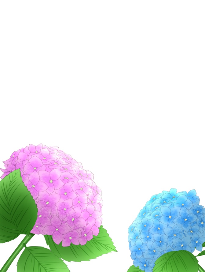 紫陽花の素材͛💠 VTuber素材/Vライバー素材/おはようVTuber/おはようVライバー/おはようVTuber素材/おはようVライバー素材(透過素材)