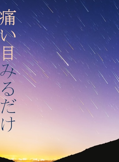痛い目みるだけ