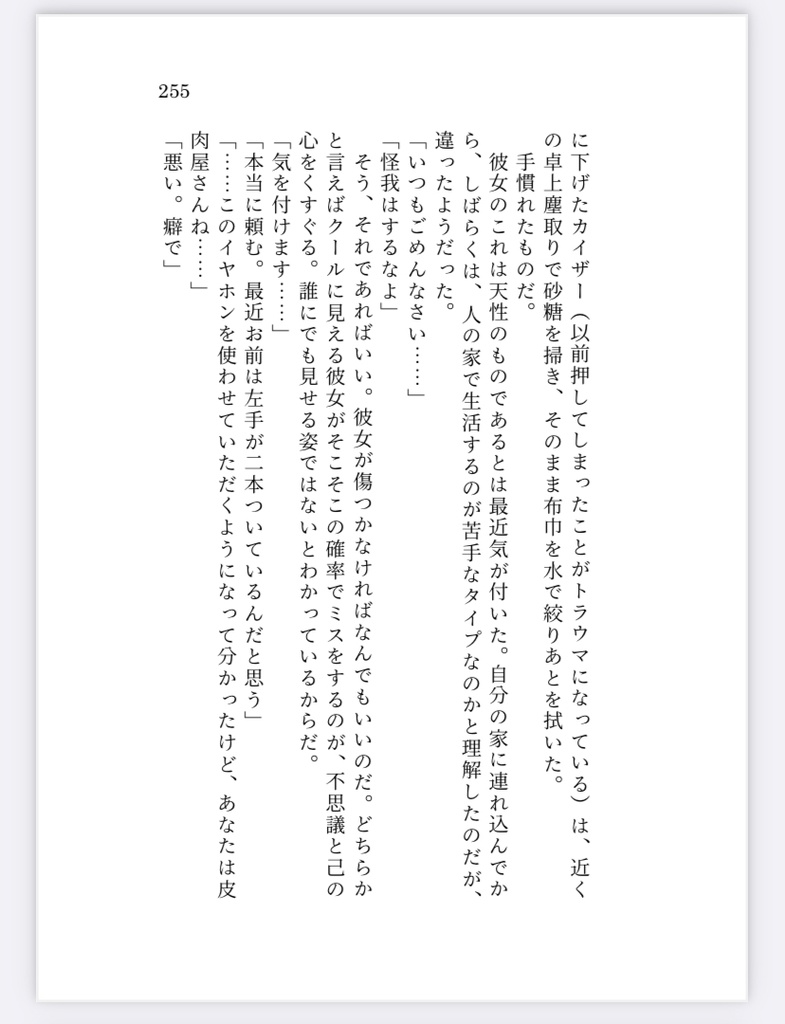 カイザー本【Luftschloss】原題:砂上の嵐Sturm auf dem Sand