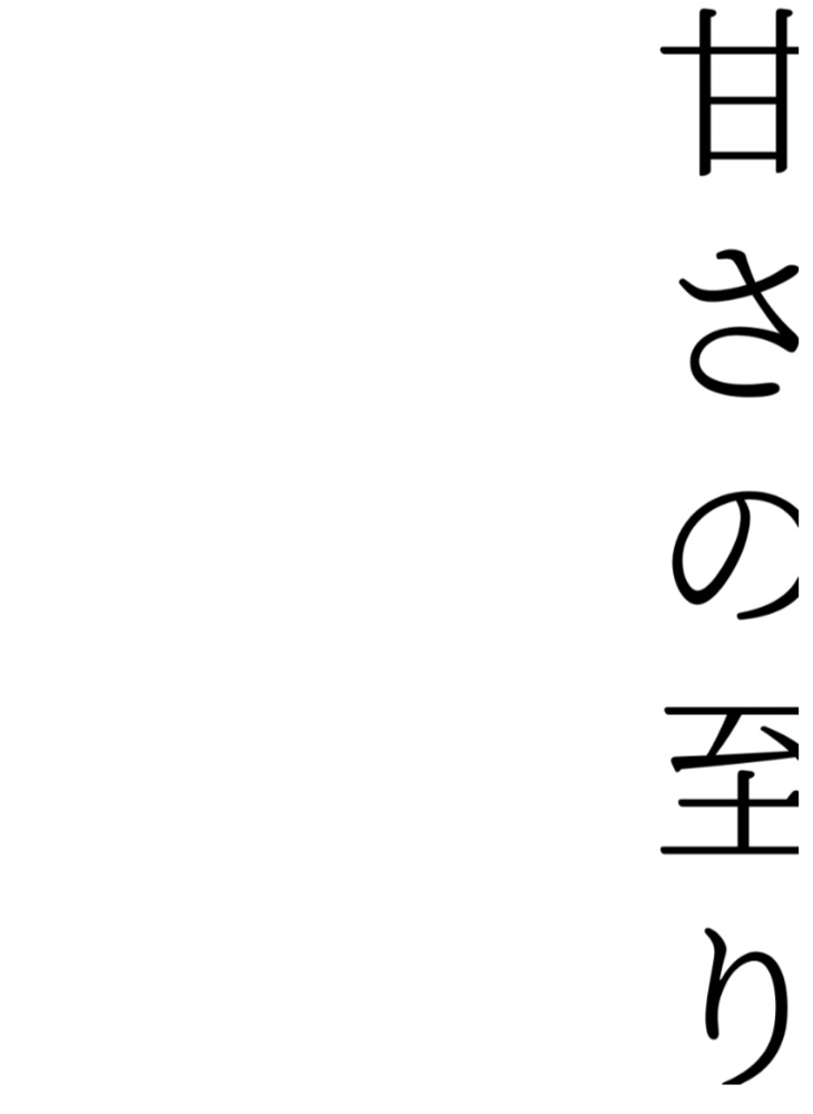 カイザー本【Luftschloss】原題:砂上の嵐Sturm auf dem Sand