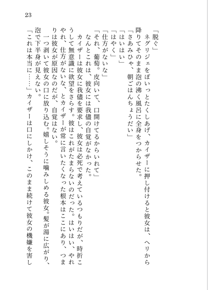 砂上の嵐番外編『Zweisamkeit』