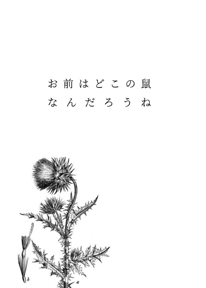 夜は孤独で暇だから