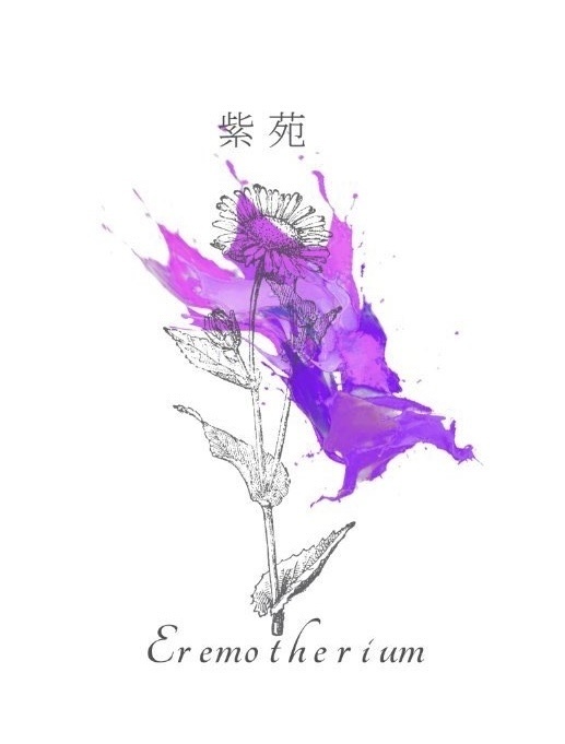 紫苑