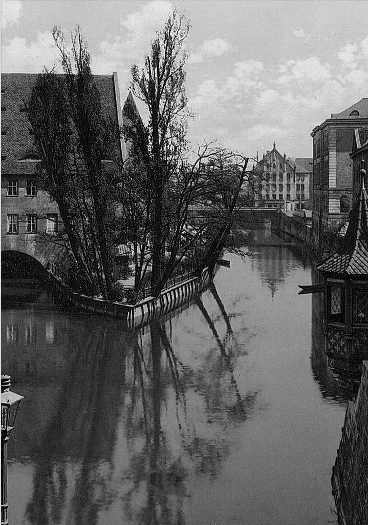 高雅で感傷的なドナウ