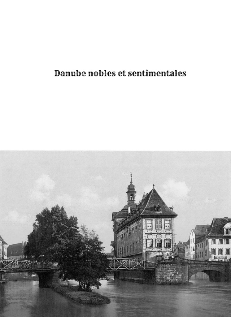 高雅で感傷的なドナウ