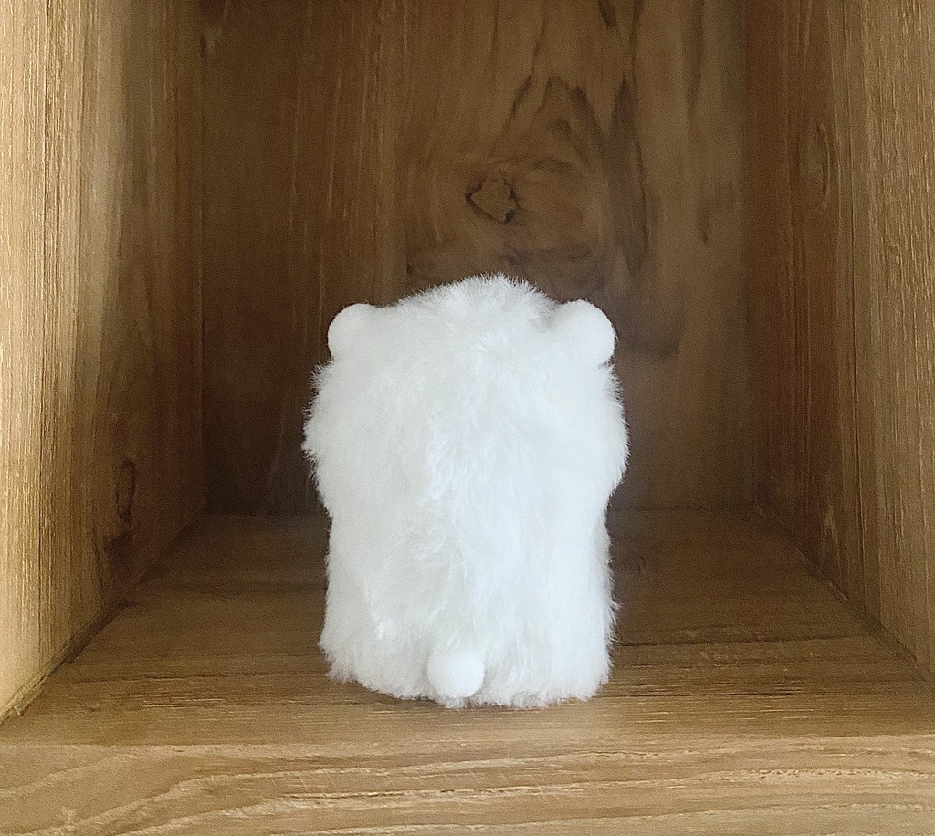 かわいいかわいい白くまちゃんズ ふたりセット