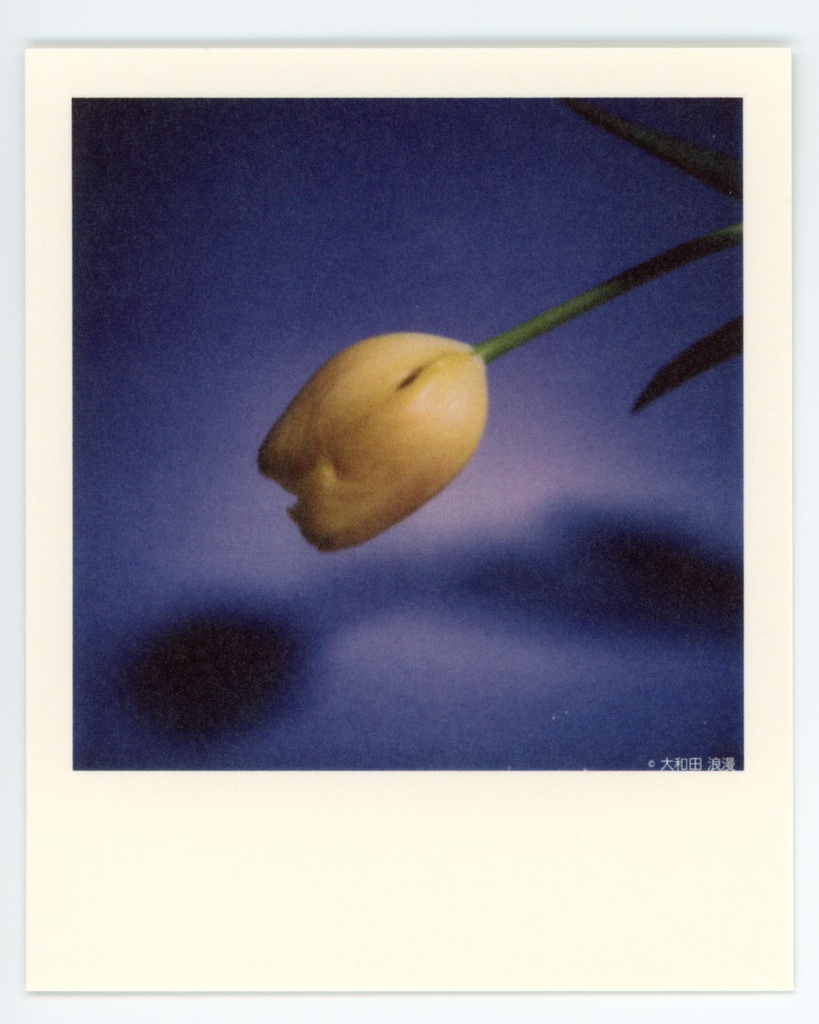 PHOTO CARD #002