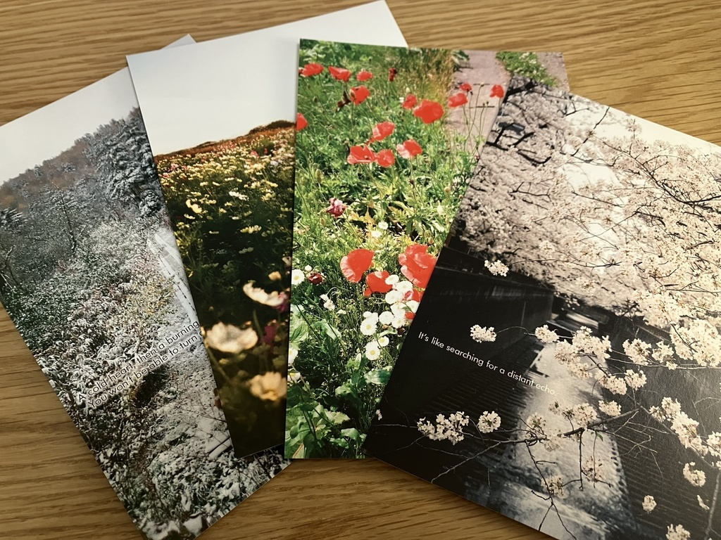 キャプションポM ~2024 -写真集&ポストカードセット-