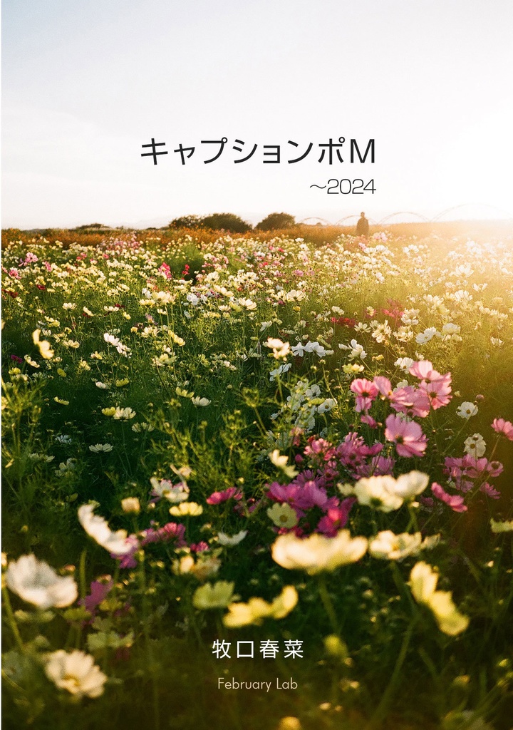 キャプションポM ~2024 -写真集&ポストカードセット-