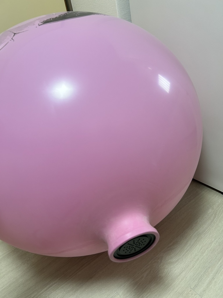 インナー型BAバルブ