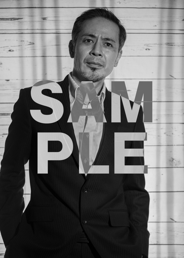 ブロマイド④平野勲人(暁光)11枚セット