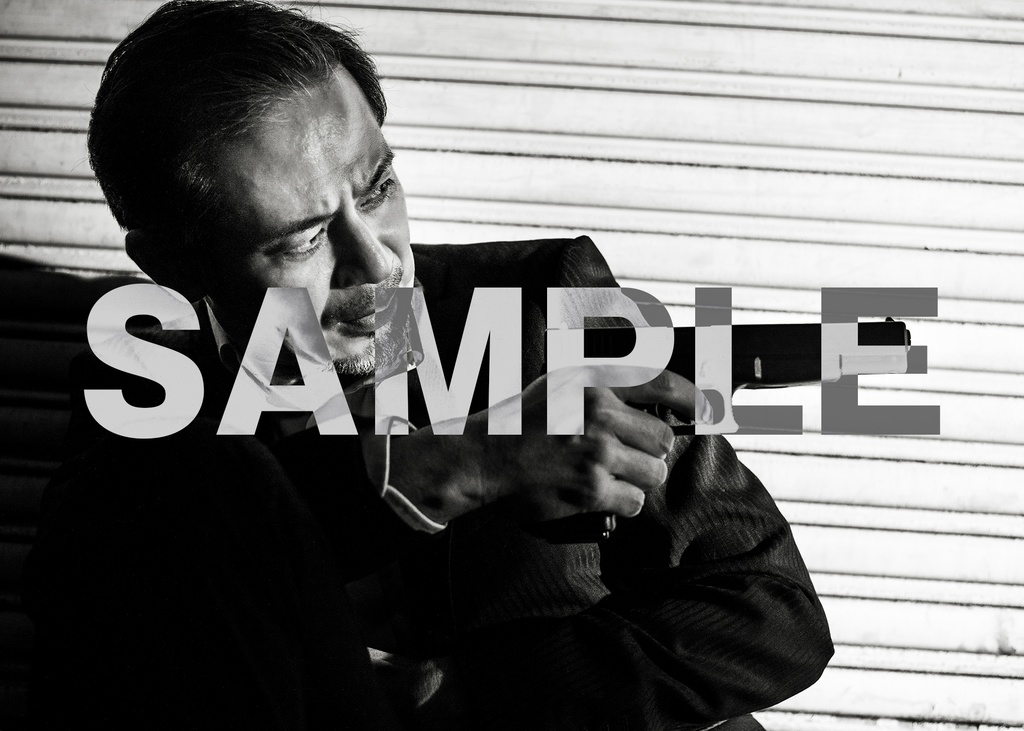 ブロマイド④平野勲人(暁光)11枚セット