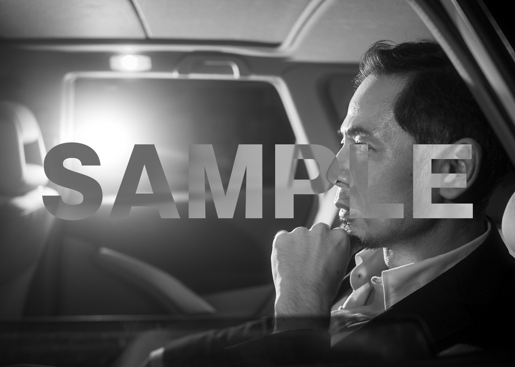 ブロマイド④平野勲人(暁光)11枚セット