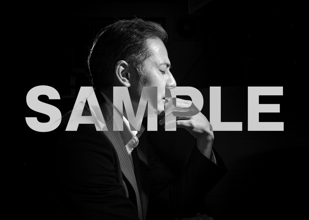 ブロマイド④平野勲人(暁光)11枚セット