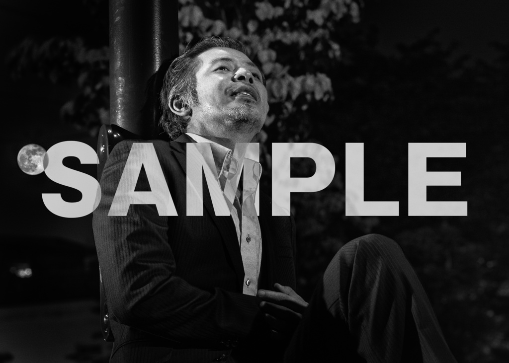 ブロマイド④平野勲人(暁光)11枚セット