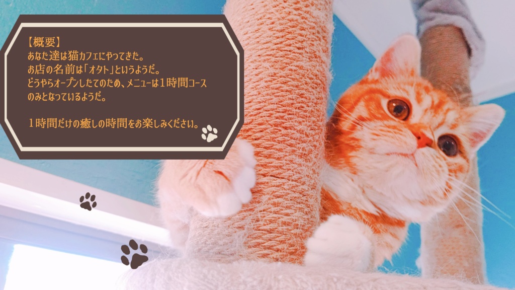 【CoCシナリオ】猫カフェ オタト