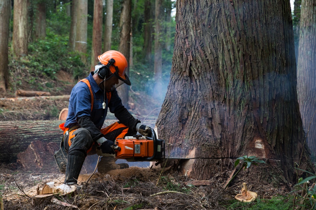 おばけパズルのLEDバッジ SUGI(熊本小国杉)