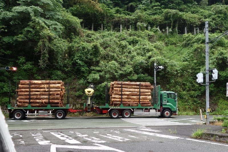 おばけパズルのLEDバッジ SUGI(熊本小国杉)