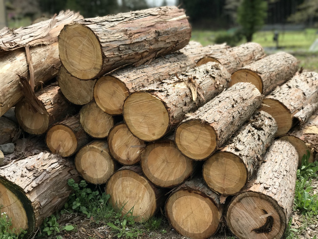 はがきサイズ おばけパズル (富士山麓ヒノキ無垢材5mm厚)
