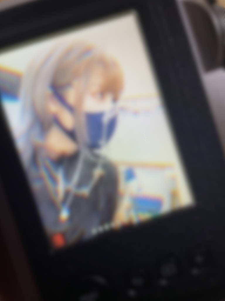 ピンチェキ【数量限定】