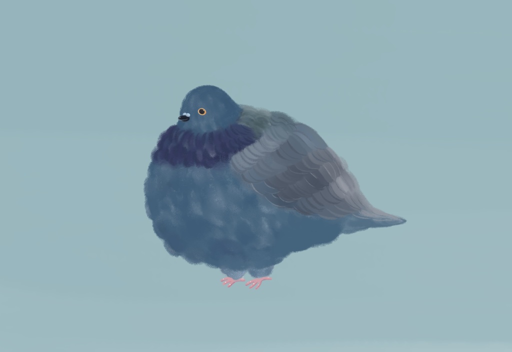 ポストカード【鳩】