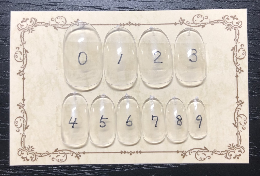 サイズ確認用ネイルチップ