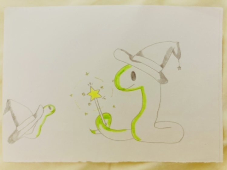 ヘビの魔法使い