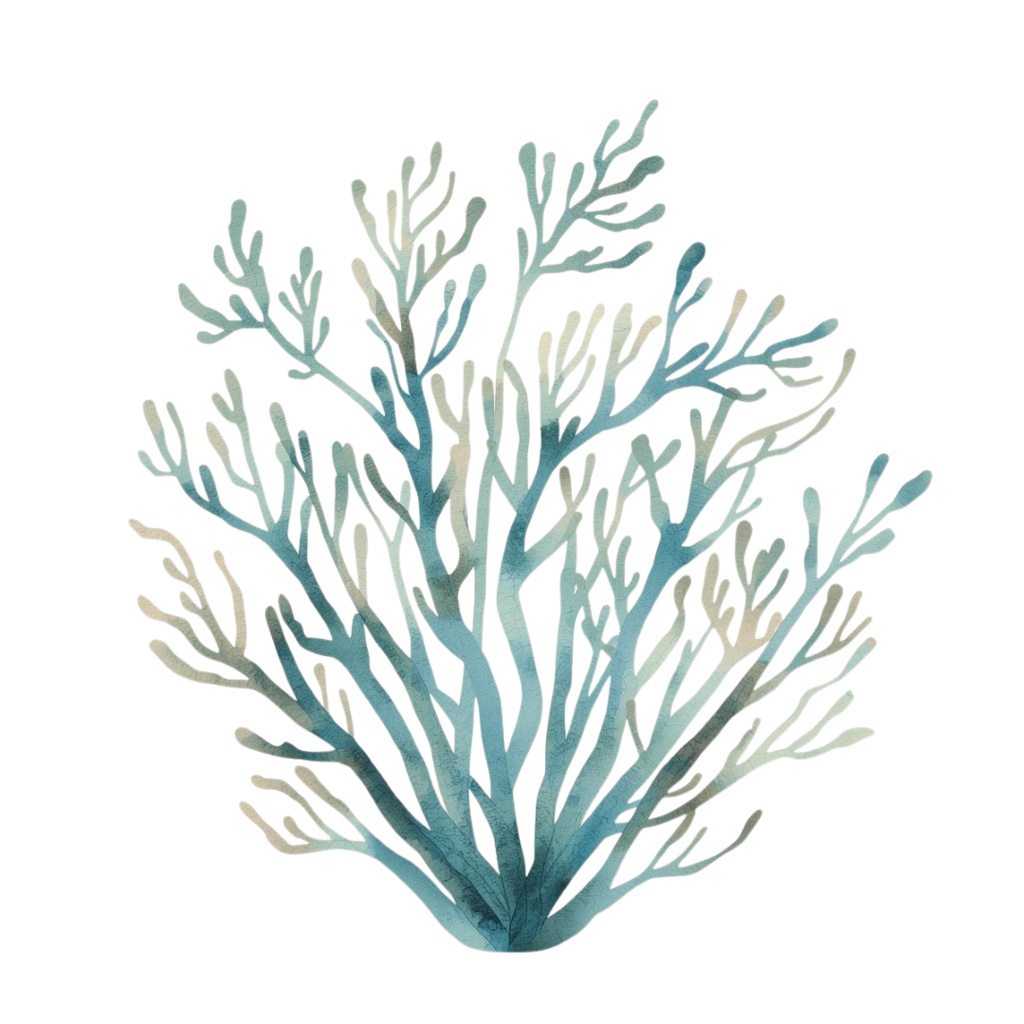 水彩・水色アンティーク海シリーズクリップアート(10点セット)