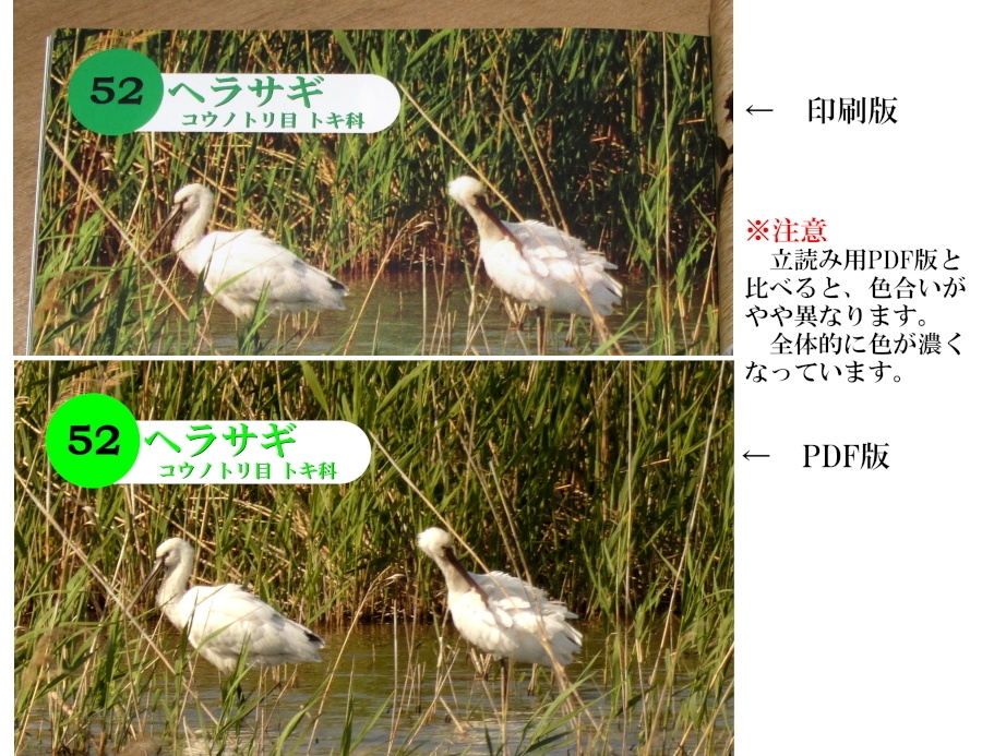 「写真集 本明川の鳥」