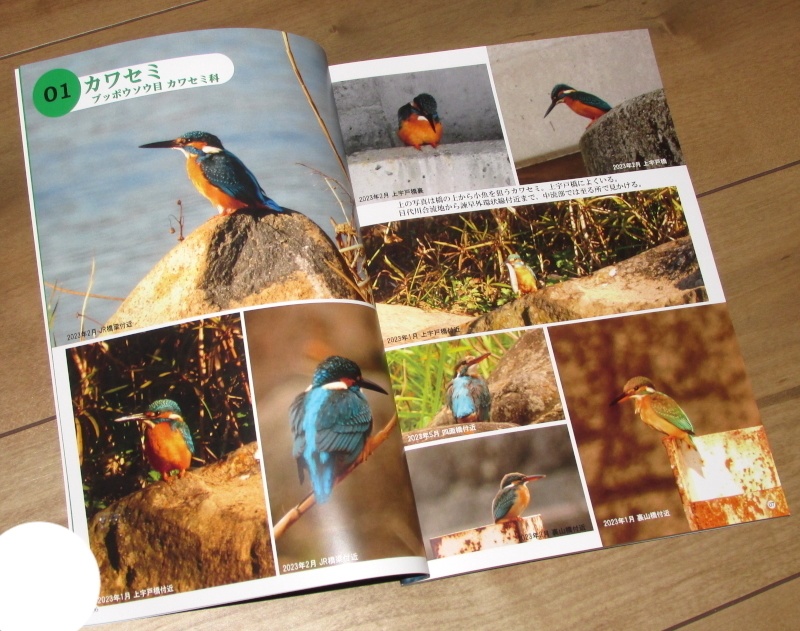 「写真集 本明川の鳥」