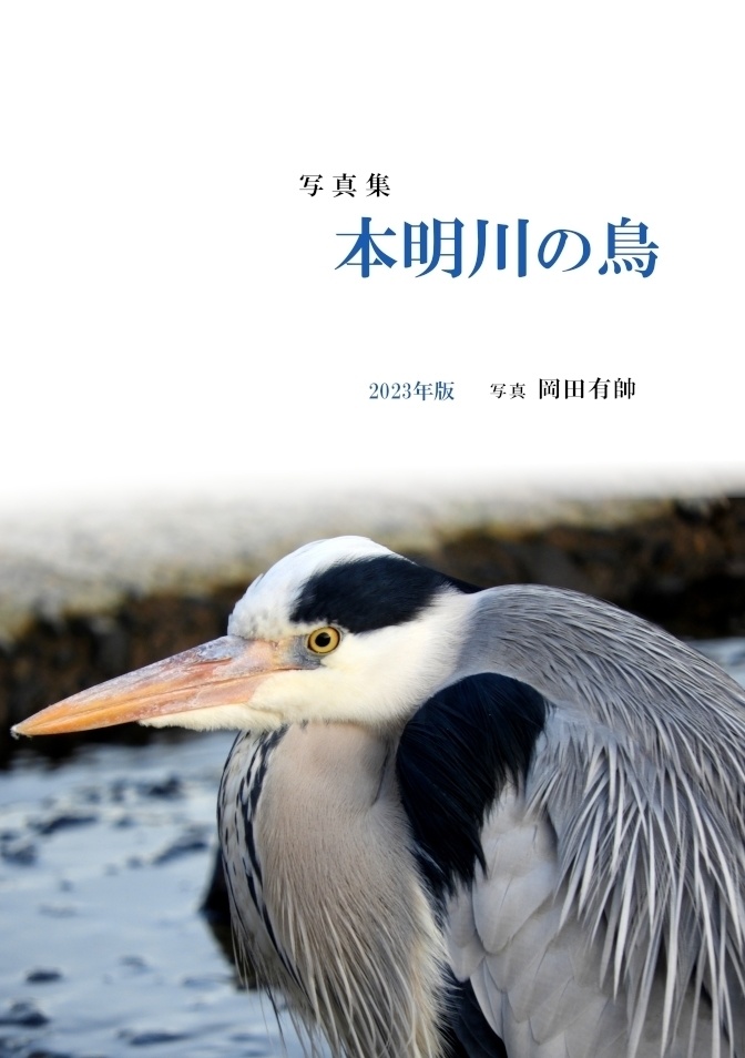 「写真集　本明川の鳥」お試し立読み版