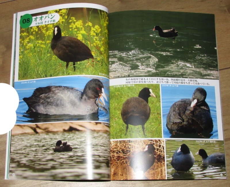 「写真集 本明川の鳥」あんしんBOOTHパック