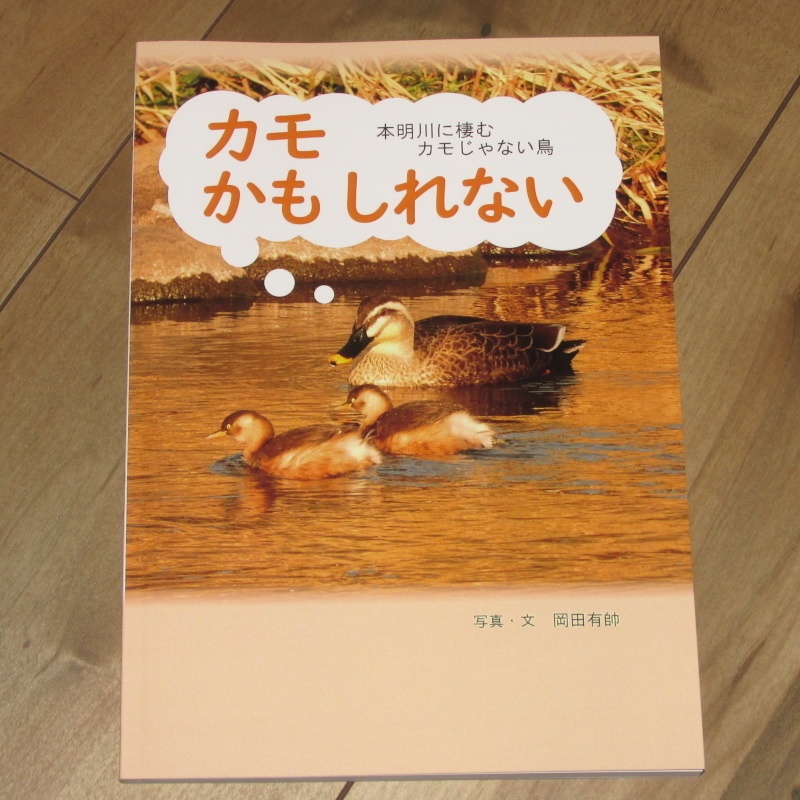 「カモかもしれない」